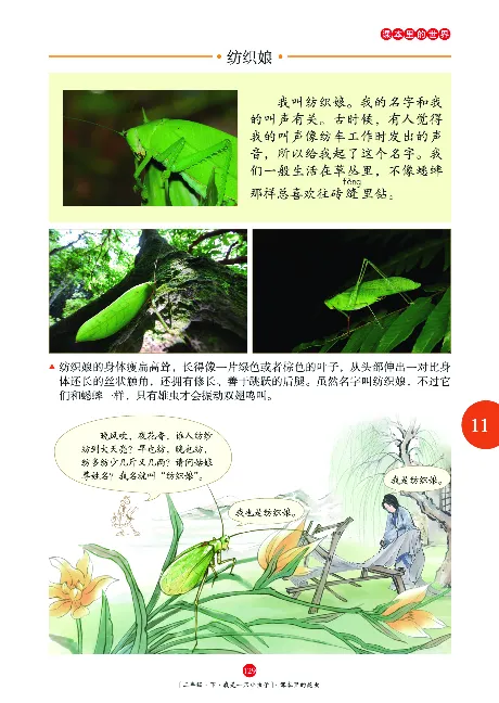 二（下）语文年级阅读_二年级上下册资料_小学二年级学习资料-25年更新版_2-02、小学二年级语文下册_2-2-2、练习题、作业、试题、试卷_专项练习_精品专项训练