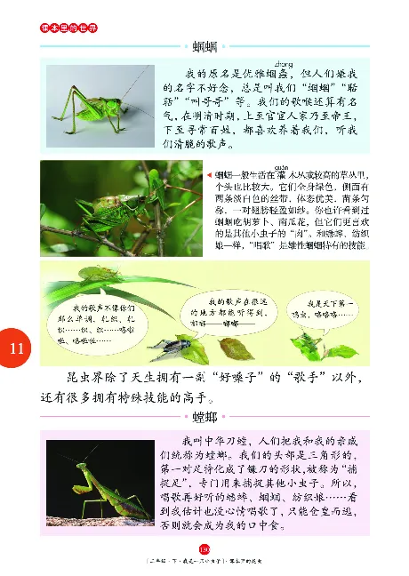 二（下）语文年级阅读_二年级上下册资料_小学二年级学习资料-25年更新版_2-02、小学二年级语文下册_2-2-2、练习题、作业、试题、试卷_专项练习_精品专项训练