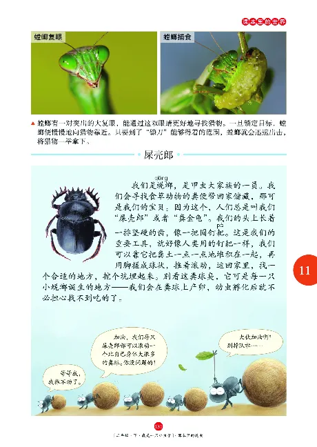 二（下）语文年级阅读_二年级上下册资料_小学二年级学习资料-25年更新版_2-02、小学二年级语文下册_2-2-2、练习题、作业、试题、试卷_专项练习_精品专项训练