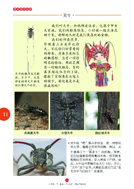 二（下）语文年级阅读_二年级上下册资料_小学二年级学习资料-25年更新版_2-02、小学二年级语文下册_2-2-2、练习题、作业、试题、试卷_专项练习_精品专项训练