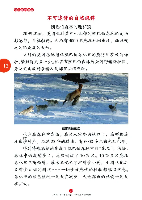 二（下）语文年级阅读_二年级上下册资料_小学二年级学习资料-25年更新版_2-02、小学二年级语文下册_2-2-2、练习题、作业、试题、试卷_专项练习_精品专项训练