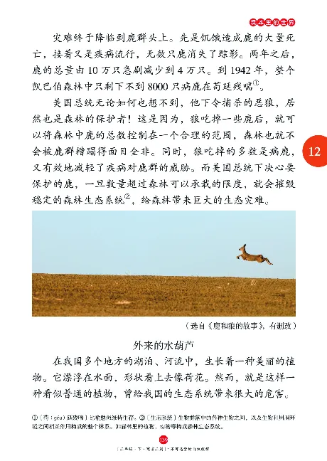 二（下）语文年级阅读_二年级上下册资料_小学二年级学习资料-25年更新版_2-02、小学二年级语文下册_2-2-2、练习题、作业、试题、试卷_专项练习_精品专项训练