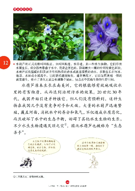 二（下）语文年级阅读_二年级上下册资料_小学二年级学习资料-25年更新版_2-02、小学二年级语文下册_2-2-2、练习题、作业、试题、试卷_专项练习_精品专项训练