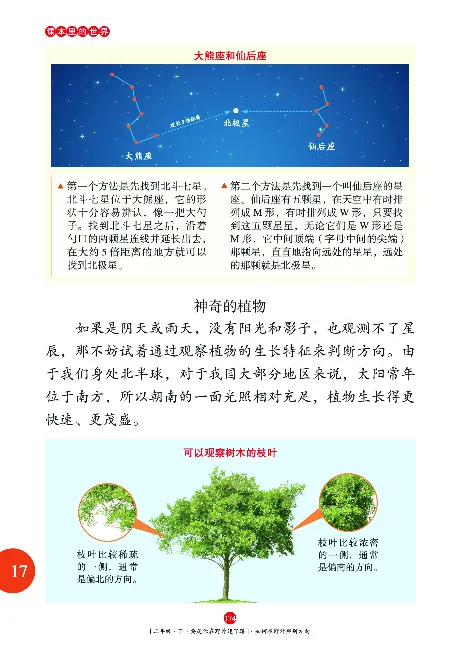 二（下）语文年级阅读_二年级上下册资料_小学二年级学习资料-25年更新版_2-02、小学二年级语文下册_2-2-2、练习题、作业、试题、试卷_专项练习_精品专项训练