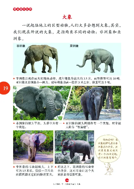 二（下）语文年级阅读_二年级上下册资料_小学二年级学习资料-25年更新版_2-02、小学二年级语文下册_2-2-2、练习题、作业、试题、试卷_专项练习_精品专项训练