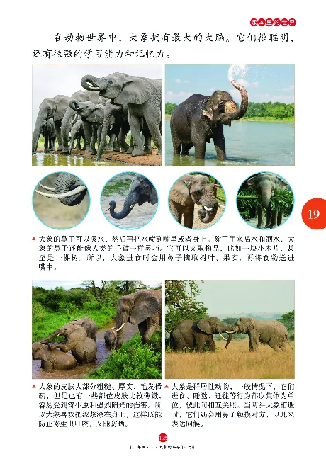 二（下）语文年级阅读_二年级上下册资料_小学二年级学习资料-25年更新版_2-02、小学二年级语文下册_2-2-2、练习题、作业、试题、试卷_专项练习_精品专项训练