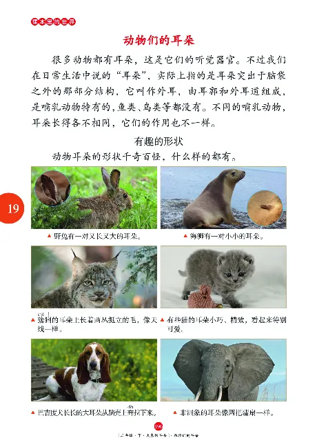 二（下）语文年级阅读_二年级上下册资料_小学二年级学习资料-25年更新版_2-02、小学二年级语文下册_2-2-2、练习题、作业、试题、试卷_专项练习_精品专项训练