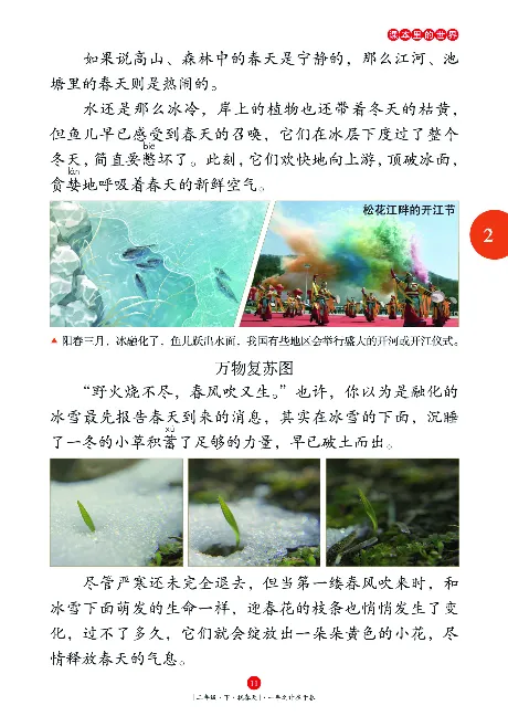 二（下）语文年级阅读_二年级上下册资料_小学二年级学习资料-25年更新版_2-02、小学二年级语文下册_2-2-2、练习题、作业、试题、试卷_专项练习_精品专项训练