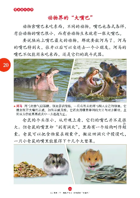 二（下）语文年级阅读_二年级上下册资料_小学二年级学习资料-25年更新版_2-02、小学二年级语文下册_2-2-2、练习题、作业、试题、试卷_专项练习_精品专项训练