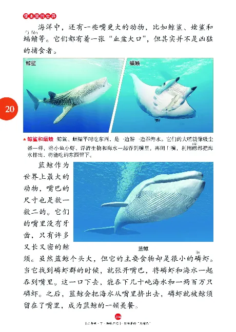 二（下）语文年级阅读_二年级上下册资料_小学二年级学习资料-25年更新版_2-02、小学二年级语文下册_2-2-2、练习题、作业、试题、试卷_专项练习_精品专项训练