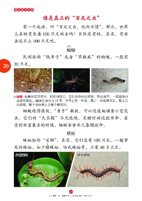 二（下）语文年级阅读_二年级上下册资料_小学二年级学习资料-25年更新版_2-02、小学二年级语文下册_2-2-2、练习题、作业、试题、试卷_专项练习_精品专项训练