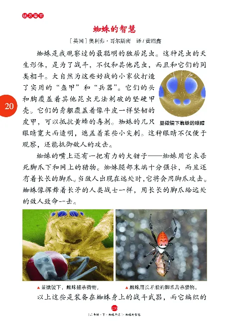 二（下）语文年级阅读_二年级上下册资料_小学二年级学习资料-25年更新版_2-02、小学二年级语文下册_2-2-2、练习题、作业、试题、试卷_专项练习_精品专项训练