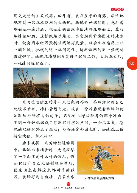 二（下）语文年级阅读_二年级上下册资料_小学二年级学习资料-25年更新版_2-02、小学二年级语文下册_2-2-2、练习题、作业、试题、试卷_专项练习_精品专项训练