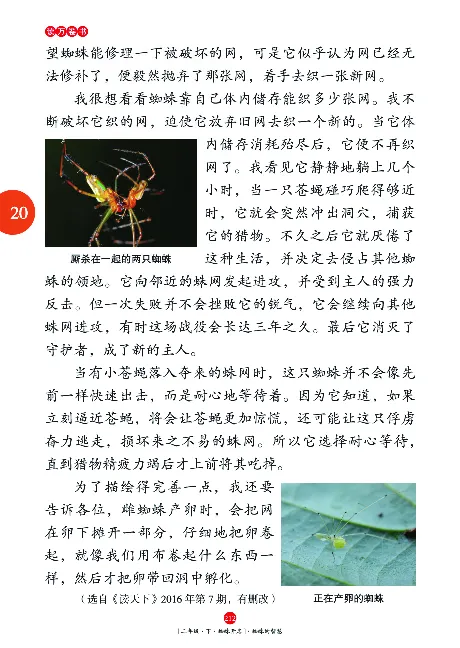二（下）语文年级阅读_二年级上下册资料_小学二年级学习资料-25年更新版_2-02、小学二年级语文下册_2-2-2、练习题、作业、试题、试卷_专项练习_精品专项训练