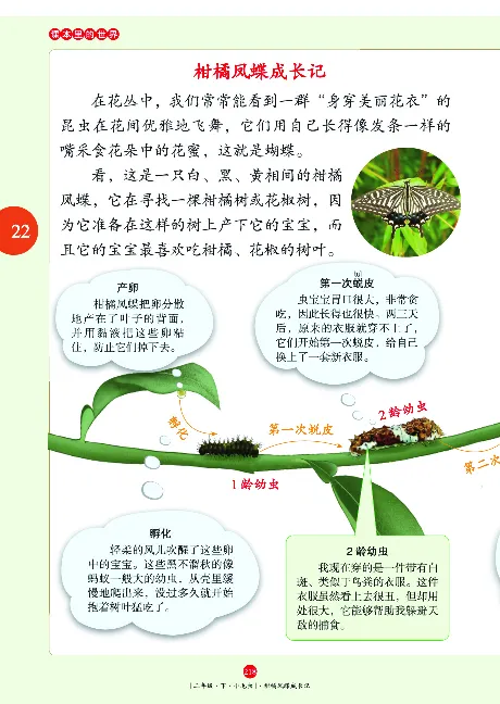 二（下）语文年级阅读_二年级上下册资料_小学二年级学习资料-25年更新版_2-02、小学二年级语文下册_2-2-2、练习题、作业、试题、试卷_专项练习_精品专项训练