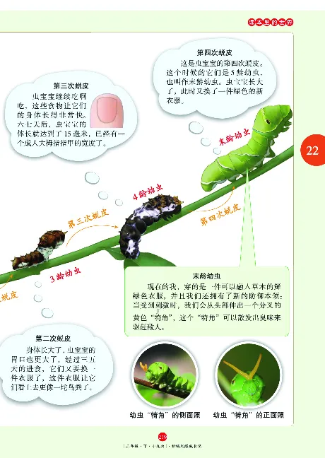 二（下）语文年级阅读_二年级上下册资料_小学二年级学习资料-25年更新版_2-02、小学二年级语文下册_2-2-2、练习题、作业、试题、试卷_专项练习_精品专项训练