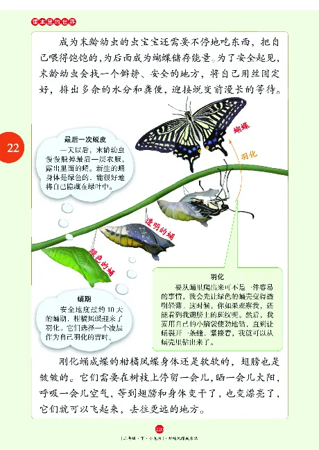 二（下）语文年级阅读_二年级上下册资料_小学二年级学习资料-25年更新版_2-02、小学二年级语文下册_2-2-2、练习题、作业、试题、试卷_专项练习_精品专项训练