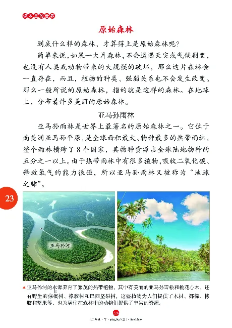 二（下）语文年级阅读_二年级上下册资料_小学二年级学习资料-25年更新版_2-02、小学二年级语文下册_2-2-2、练习题、作业、试题、试卷_专项练习_精品专项训练