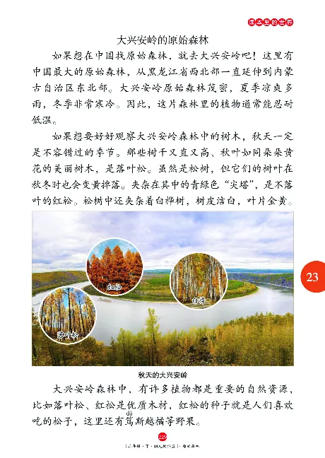 二（下）语文年级阅读_二年级上下册资料_小学二年级学习资料-25年更新版_2-02、小学二年级语文下册_2-2-2、练习题、作业、试题、试卷_专项练习_精品专项训练