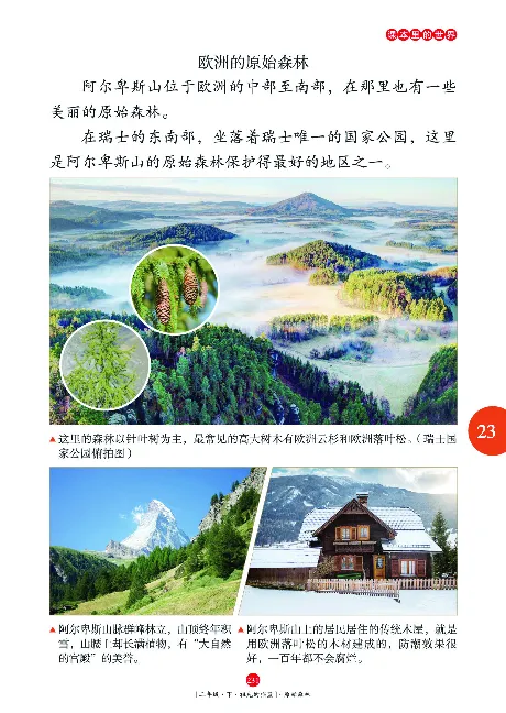 二（下）语文年级阅读_二年级上下册资料_小学二年级学习资料-25年更新版_2-02、小学二年级语文下册_2-2-2、练习题、作业、试题、试卷_专项练习_精品专项训练