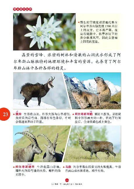 二（下）语文年级阅读_二年级上下册资料_小学二年级学习资料-25年更新版_2-02、小学二年级语文下册_2-2-2、练习题、作业、试题、试卷_专项练习_精品专项训练