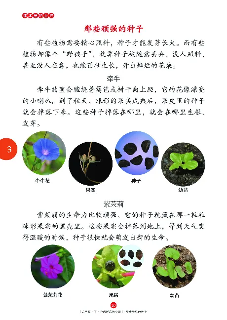 二（下）语文年级阅读_二年级上下册资料_小学二年级学习资料-25年更新版_2-02、小学二年级语文下册_2-2-2、练习题、作业、试题、试卷_专项练习_精品专项训练