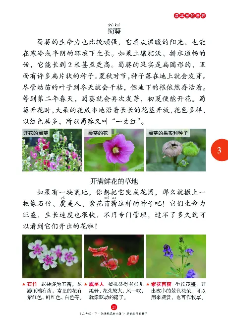 二（下）语文年级阅读_二年级上下册资料_小学二年级学习资料-25年更新版_2-02、小学二年级语文下册_2-2-2、练习题、作业、试题、试卷_专项练习_精品专项训练