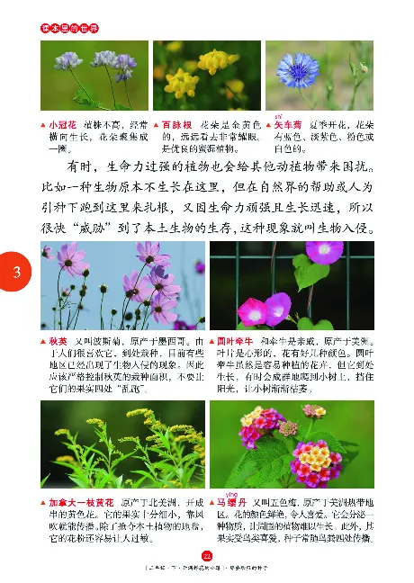 二（下）语文年级阅读_二年级上下册资料_小学二年级学习资料-25年更新版_2-02、小学二年级语文下册_2-2-2、练习题、作业、试题、试卷_专项练习_精品专项训练