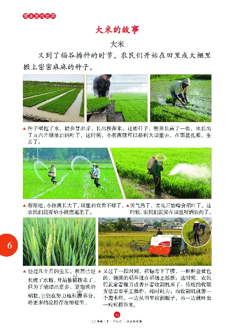 二（下）语文年级阅读_二年级上下册资料_小学二年级学习资料-25年更新版_2-02、小学二年级语文下册_2-2-2、练习题、作业、试题、试卷_专项练习_精品专项训练