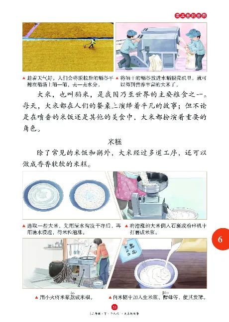 二（下）语文年级阅读_二年级上下册资料_小学二年级学习资料-25年更新版_2-02、小学二年级语文下册_2-2-2、练习题、作业、试题、试卷_专项练习_精品专项训练