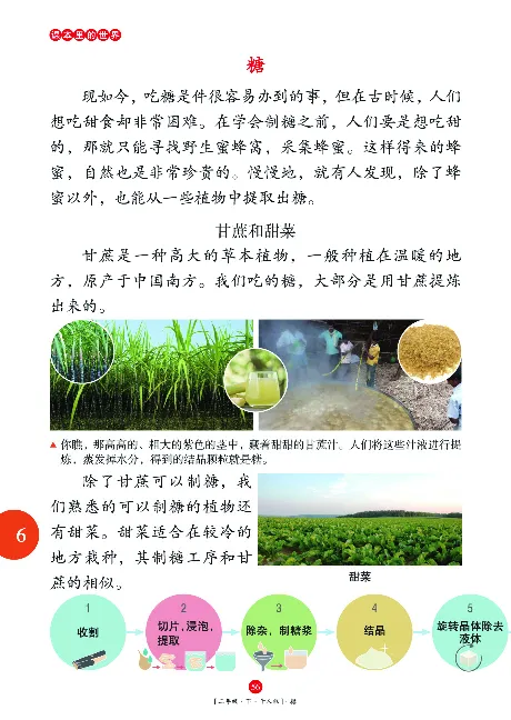 二（下）语文年级阅读_二年级上下册资料_小学二年级学习资料-25年更新版_2-02、小学二年级语文下册_2-2-2、练习题、作业、试题、试卷_专项练习_精品专项训练