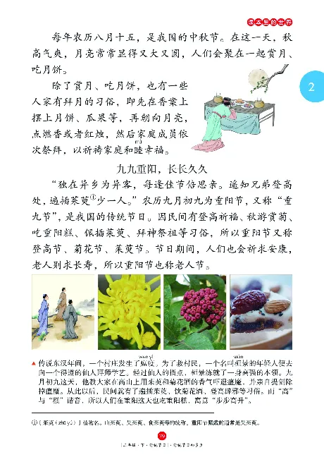 二（下）语文年级阅读_二年级上下册资料_小学二年级学习资料-25年更新版_2-02、小学二年级语文下册_2-2-2、练习题、作业、试题、试卷_专项练习_精品专项训练