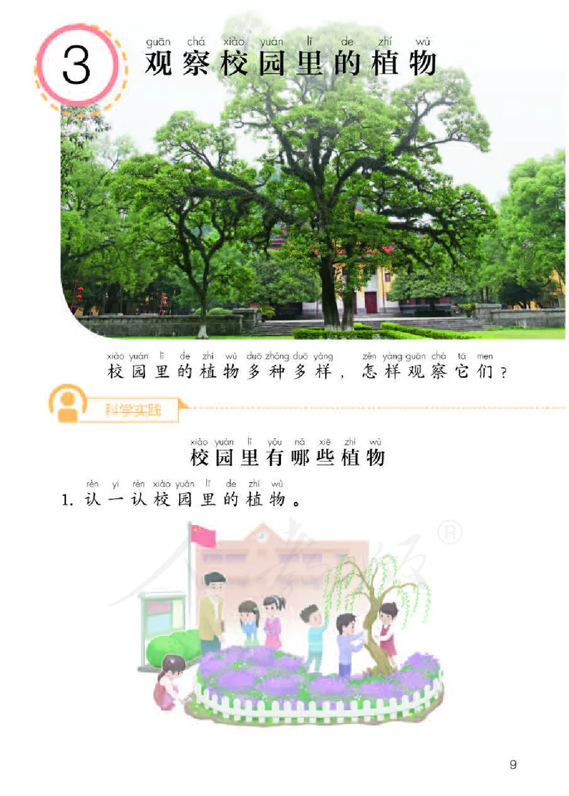 义务教育教科书&middot;科学一年级下册（人教鄂教版）_一年级上下册资料_小学一年级学习资料-25年更新版_1-10、小学一年级科学下册