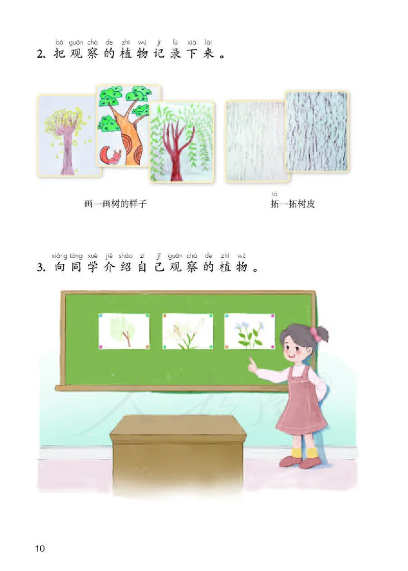 义务教育教科书&middot;科学一年级下册（人教鄂教版）_一年级上下册资料_小学一年级学习资料-25年更新版_1-10、小学一年级科学下册