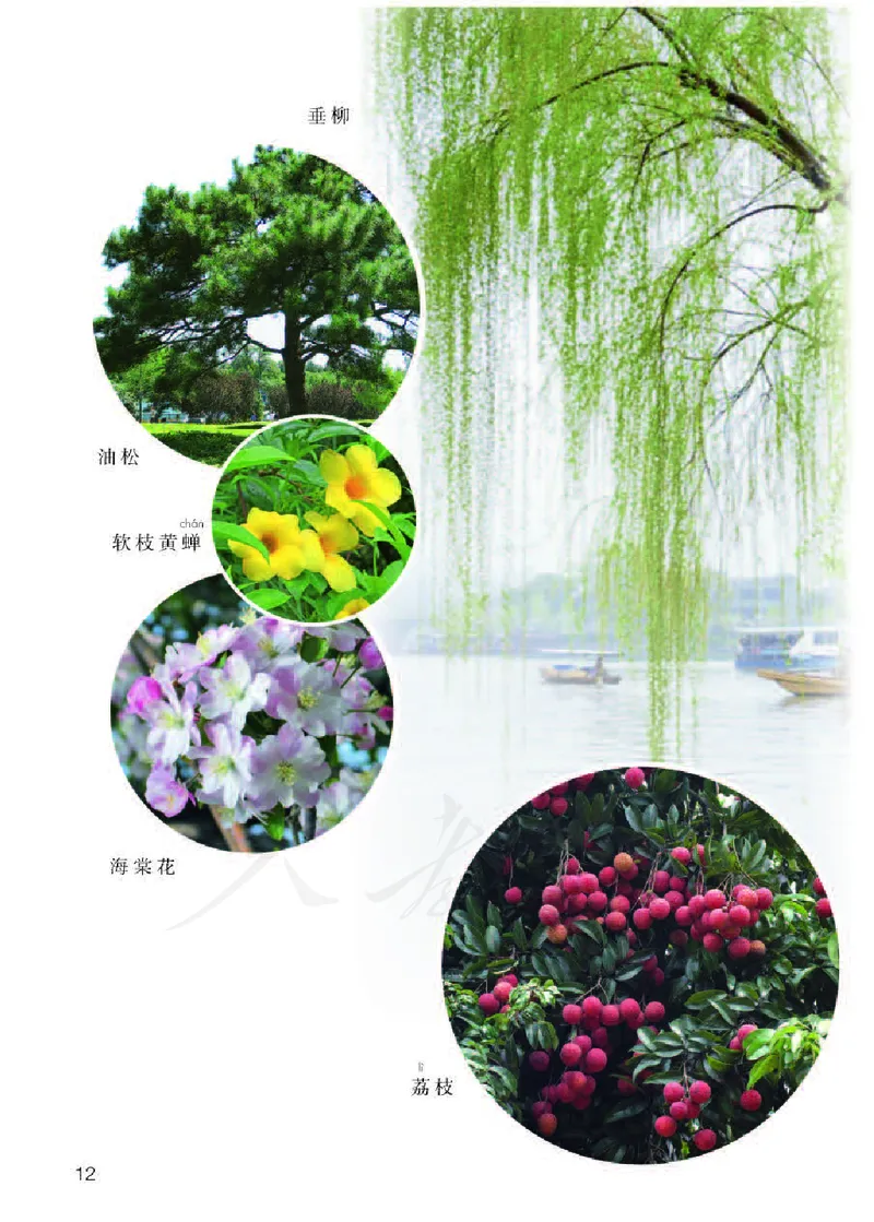 义务教育教科书&middot;科学一年级下册（人教鄂教版）_一年级上下册资料_小学一年级学习资料-25年更新版_1-10、小学一年级科学下册