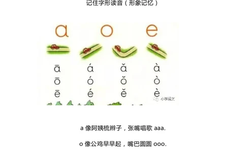 拼音学习重点，附拼音专项训练_一年级上下册资料_一年级上语数英上下册学习资料_3-6-1、小学一年级语文上册_统编、部编、人教（语文全国统一只有一个版）_1、知识点总结_专项-拼音生字