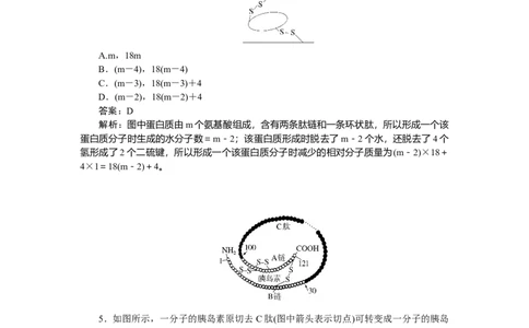 专练6_2025高中教辅（后续还会更新新习题试卷）_2025高中全科《微专题&middot;小练习》_2025高中全科《微专题小练习》_2025版&middot;微专题小练习&middot;生物学&middot;