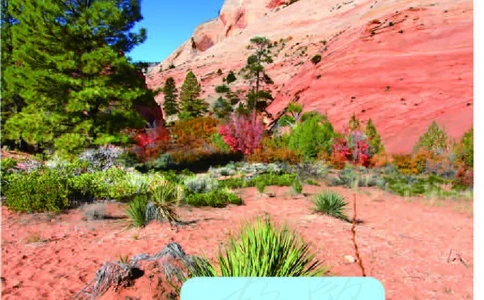 义务教育教科书&middot;科学三年级下册（人教鄂教版）_三年级上下册资料_小学三年级学习资料-25年更新版_3-10、小学三年级科学下册_鄂教版