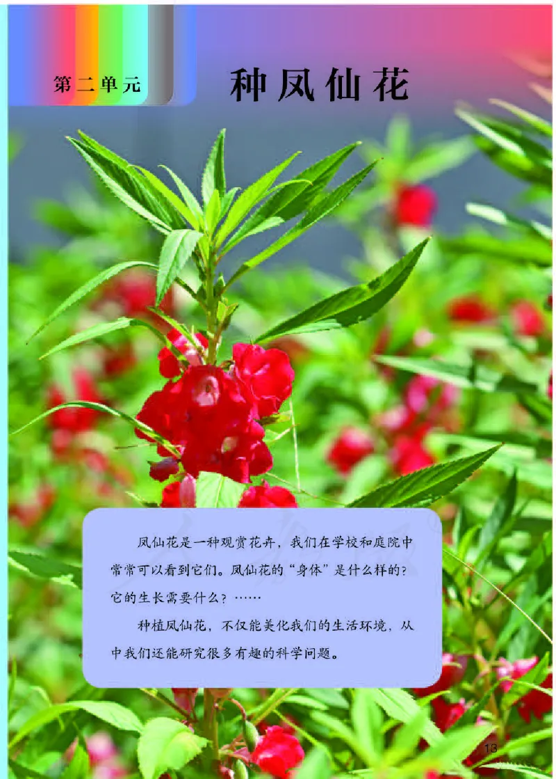 义务教育教科书&middot;科学三年级下册（人教鄂教版）_三年级上下册资料_小学三年级学习资料-25年更新版_3-10、小学三年级科学下册_鄂教版