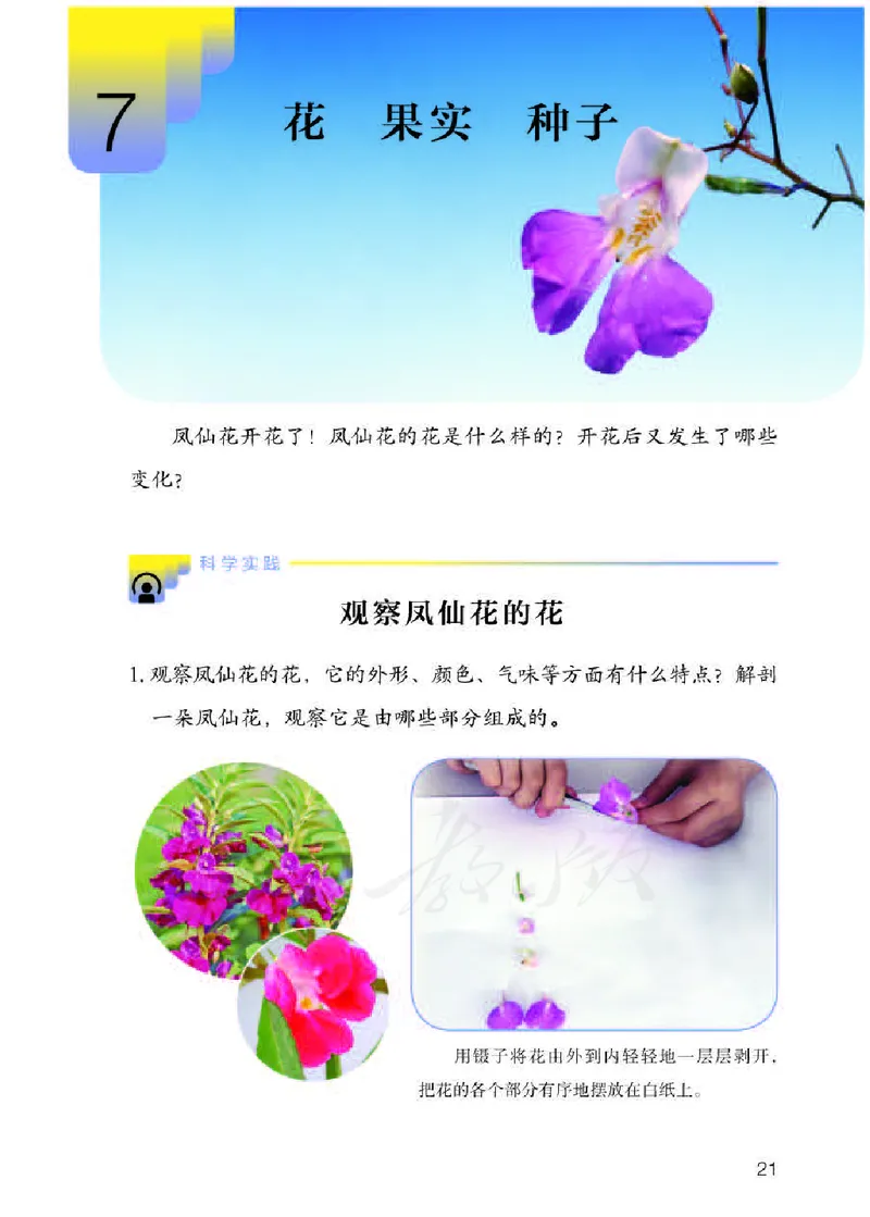 义务教育教科书&middot;科学三年级下册（人教鄂教版）_三年级上下册资料_小学三年级学习资料-25年更新版_3-10、小学三年级科学下册_鄂教版