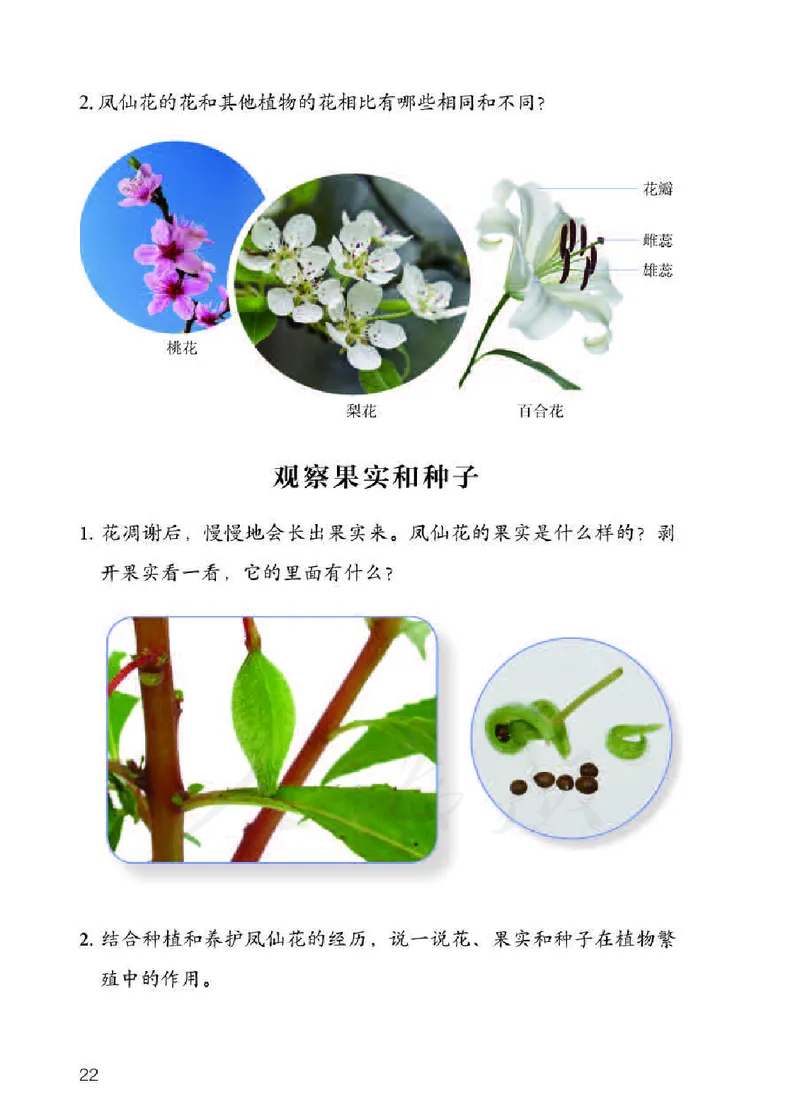 义务教育教科书&middot;科学三年级下册（人教鄂教版）_三年级上下册资料_小学三年级学习资料-25年更新版_3-10、小学三年级科学下册_鄂教版