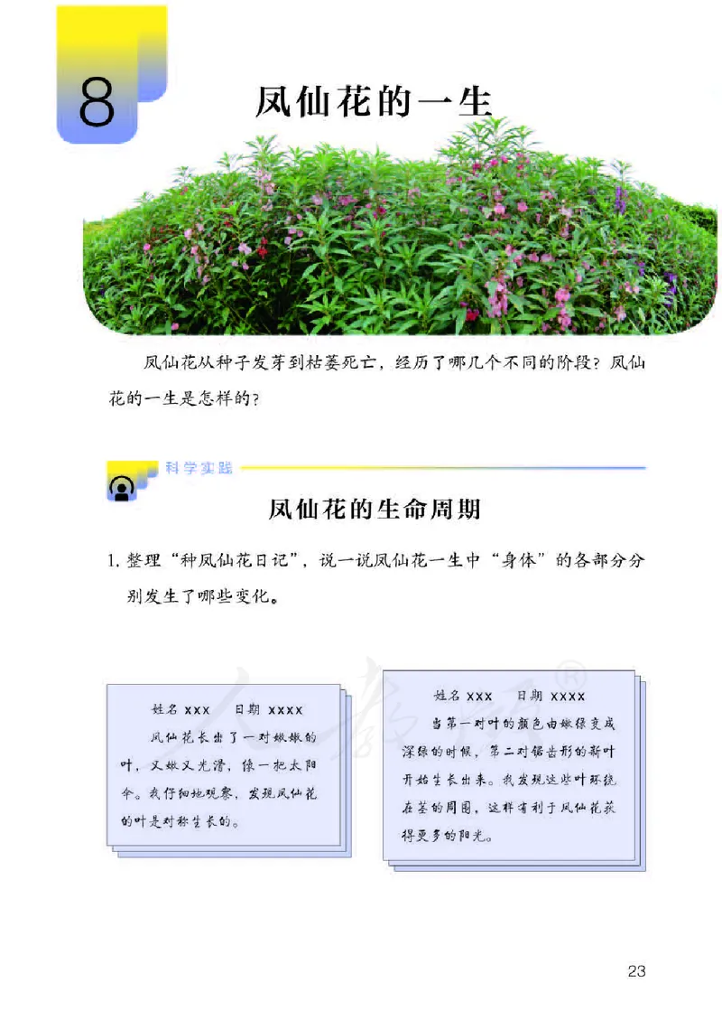 义务教育教科书&middot;科学三年级下册（人教鄂教版）_三年级上下册资料_小学三年级学习资料-25年更新版_3-10、小学三年级科学下册_鄂教版