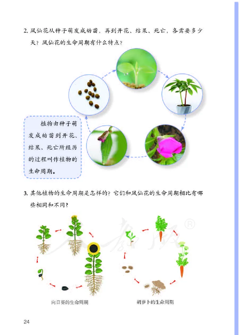 义务教育教科书&middot;科学三年级下册（人教鄂教版）_三年级上下册资料_小学三年级学习资料-25年更新版_3-10、小学三年级科学下册_鄂教版