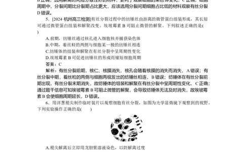 专练31_2025高中教辅（后续还会更新新习题试卷）_2025高中全科《微专题&middot;小练习》_2025高中全科《微专题小练习》_2025版&middot;微专题小练习&middot;生物学&middot;