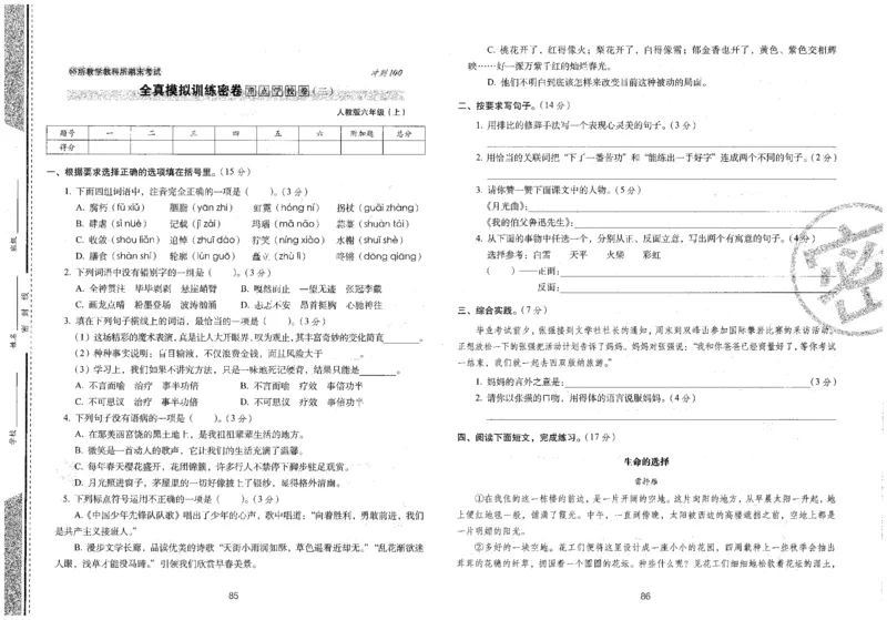 六上语文期末冲刺100分_25秋小学语数英习题试卷_语文_25秋《68所期末冲刺100分》小学语文