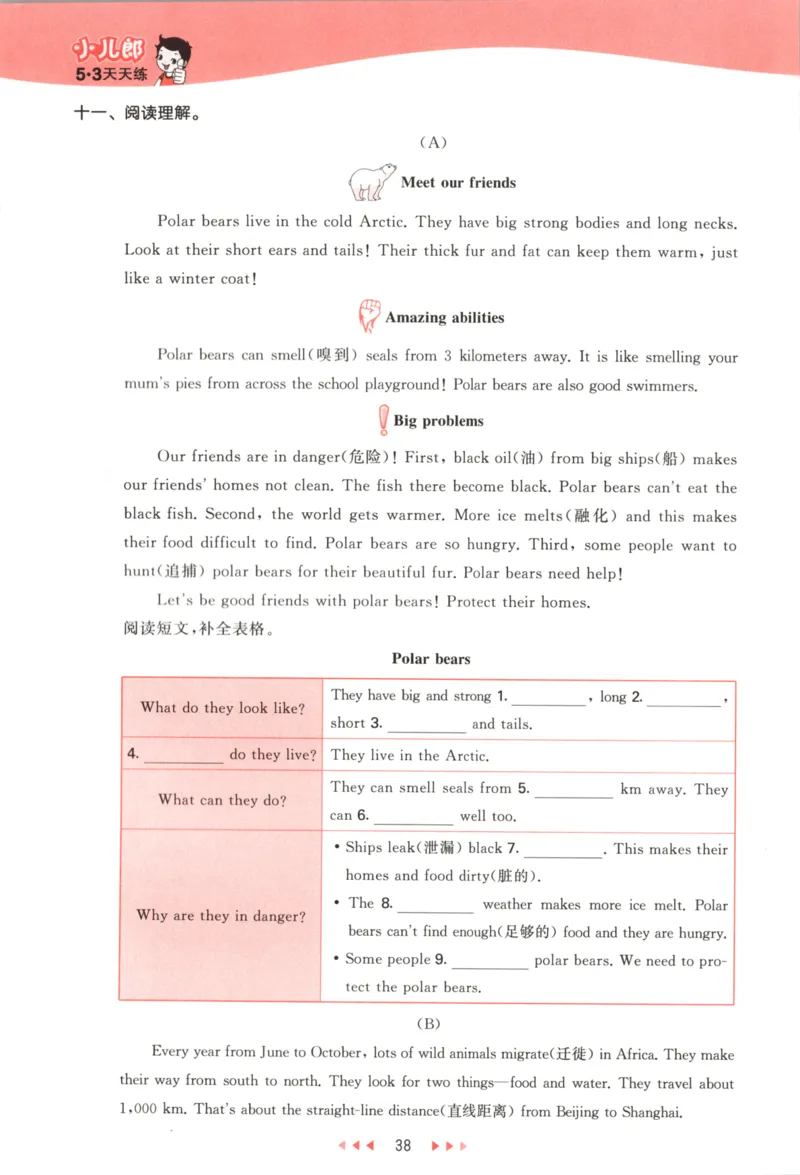 五年级英语上册译林版25秋《53天天练》_25秋小学语数英习题试卷_英语_译林版_1-6年级英语上册译林版25秋《53天天练》_五年级英语上册译林版25秋《53天天练》