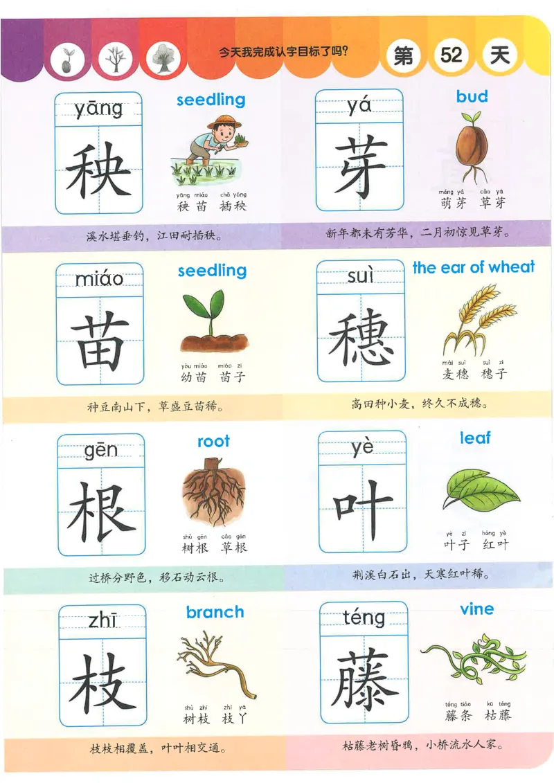 学前识字1000字_一年级上下册资料_小学一年级学习资料-25年更新版_1-00、幼小衔接_幼小衔接识字启蒙篇