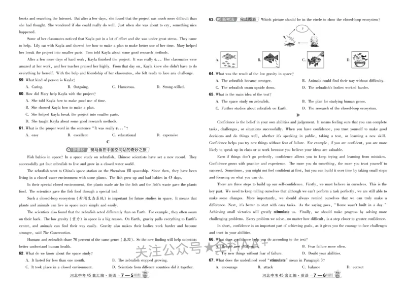 2026《中考英语45套》河北_2026《中考》数学、英语、物理+化学安徽、河北、河南、山西、辽宁、湖北_2026《中考英语45套》全国地方版_2026《中考英语45套》河北