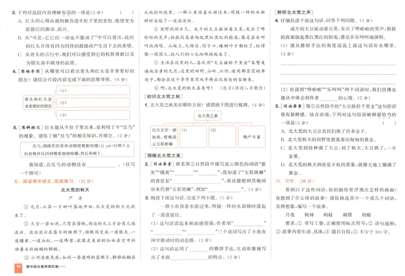 三年级语文上册人教版25秋《拔尖大试卷》_25秋小学语数英习题试卷_语文_1-6年级语文上册人教版25秋《拔尖大试卷》