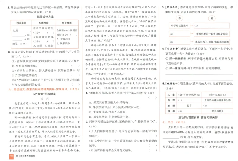 三年级语文上册人教版25秋《拔尖大试卷》_25秋小学语数英习题试卷_语文_1-6年级语文上册人教版25秋《拔尖大试卷》